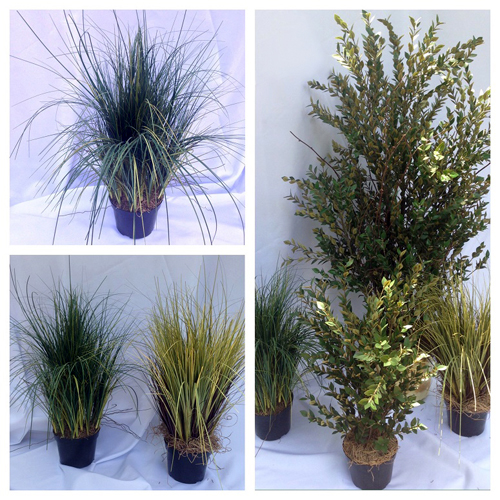 Potted Grass 2' - Artificial Trees & Floor Plants - Artificial potted grass for rent